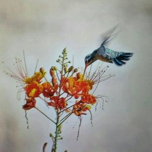 Meet your Posher, Dolene